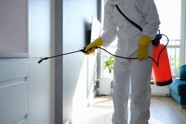 Best Crawl Space Mold Removal  in Flence, OR